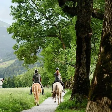 Chalet Rosemarie Bad Gastein